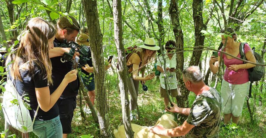 Gažon to Istria: Truffle Hunting, Cooking & Tasting - Meeting in Gažon and getting started