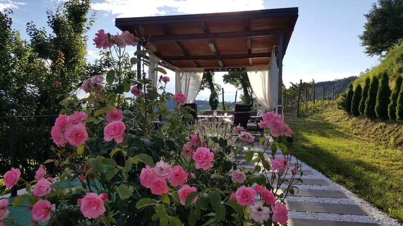 Goriška Brda: Wine Tasting with Local Snacks - Arriving at Pintar Wine and Guest Estate