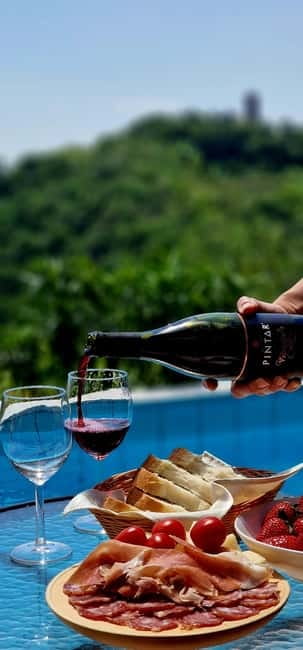 Goriška Brda: Wine Tasting with Local Snacks - Five wines, from familiar grapes to Brda’s local character