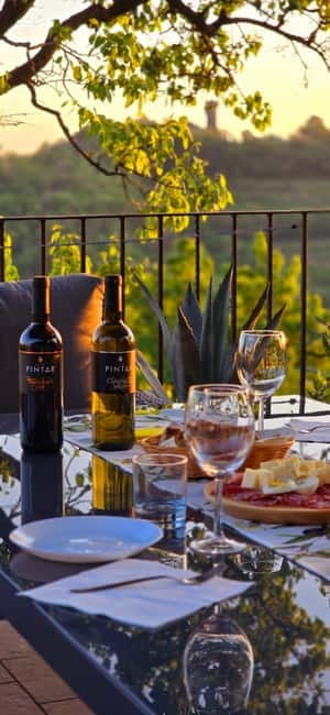 Goriška Brda: Wine Tasting with Local Snacks - A family-run welcome, with room to linger