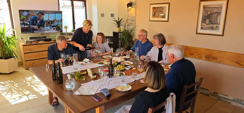 Goriška Brda: Wine Tasting with Local Snacks - Choosing between vineyard, winery, gazebo, and lounge