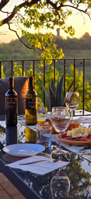 Goriška Brda: Wine Walk and Tasting - Price, timing, and who gets the best value