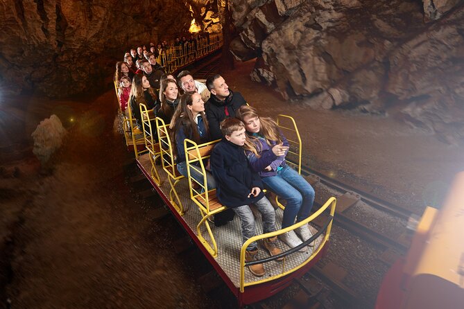 Half day tour to Postojna cave - Private tour from Koper - Lunch, timing, and the real length of the day