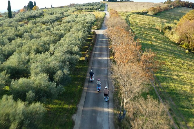 Half Day Vespa Countryside Tour and Tastings in Istria - Secovlje salt flats: an easy first stop