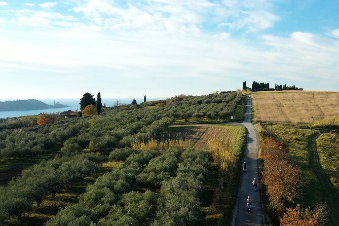 Half Day Vespa Countryside Tour and Tastings in Istria - Padna and the olive oil stop