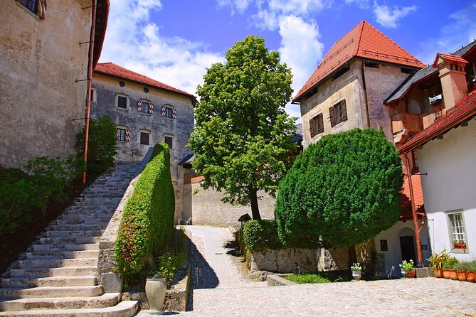 Highlights of Slovenia - Postojna & Bled (Tickets included) - Transportation, group size, and the human factor