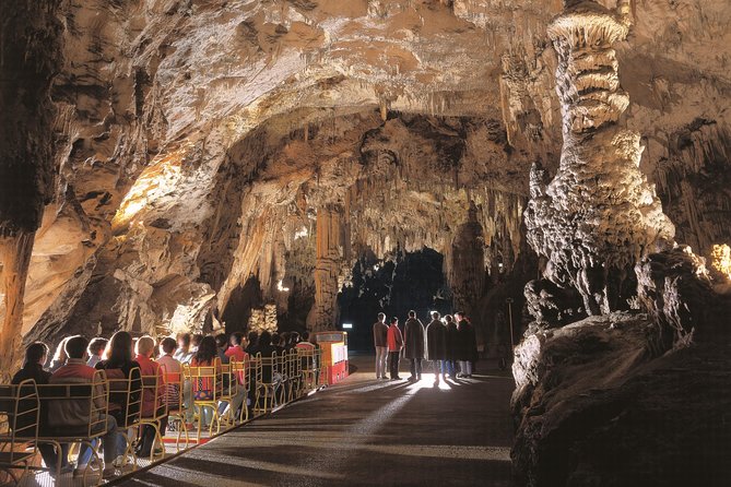 Highlights of Slovenia - Postojna & Bled (Tickets included) - Postojna Cave: a train ride into Slovenia’s underworld