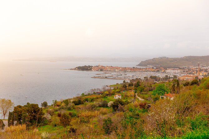 Hop & Taste Slovenian Riviera Hop-On Hop-Off & Local Bites - From the pier to Izola’s Adriatic views