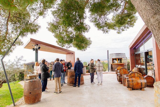 Hop & Taste Slovenian Riviera Hop-On Hop-Off & Local Bites - What the tastings are really worth