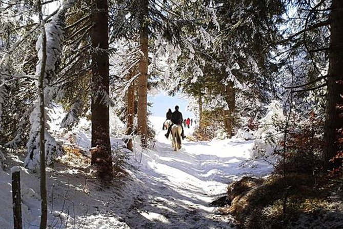 Horse Riding in Bled - Key points to know before booking