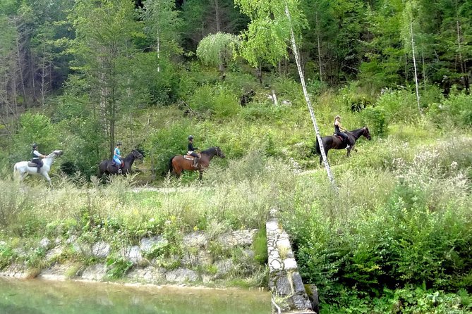 Horse Riding in Bled - Starting beside Bled’s main bus station