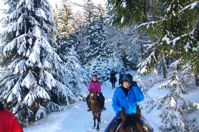 Horse Riding in Bled - Meeting the horses and learning the basics