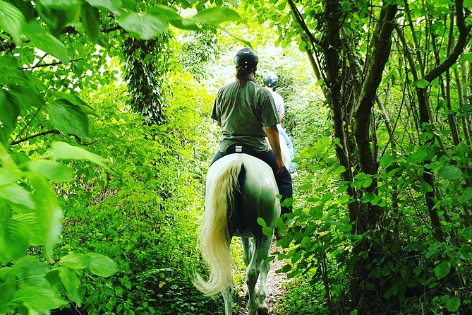 Horseback Riding In Bled - The guides make the difference