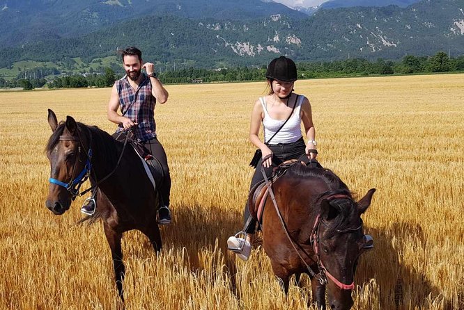 Horseback Riding In Bled - Fields, woods, villages, and mountain views