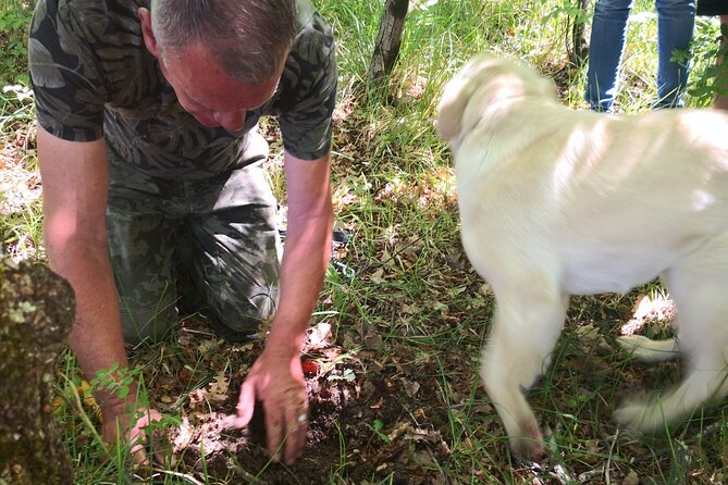 Istria - Truffles: Hunting & Cooking & Tasting, Slovenia - Is $154.99 a fair price?