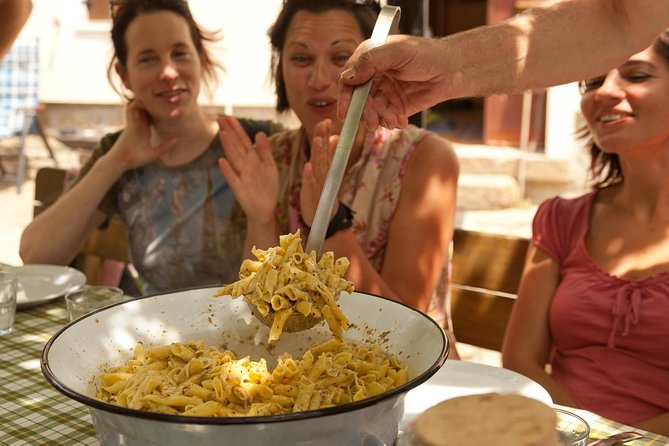 Istria - Truffles: Hunting & Cooking & Tasting, Slovenia - Watching the dog work in the Istrian forest