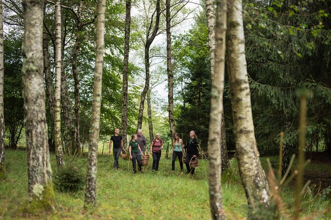 It Smells Like Mushrooms - Why this Bovec experience feels different