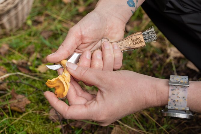 It Smells Like Mushrooms - A forest lesson, not just a mushroom hunt