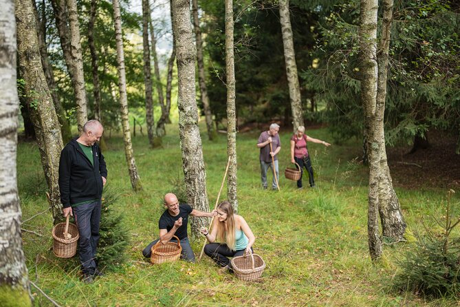 It Smells Like Mushrooms - Returning to Bovec with a basket of finds