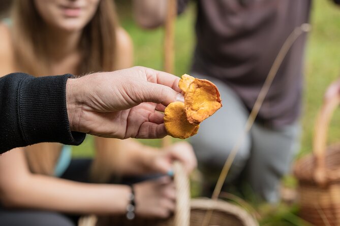 It Smells Like Mushrooms - Weather, timing, and other practical points
