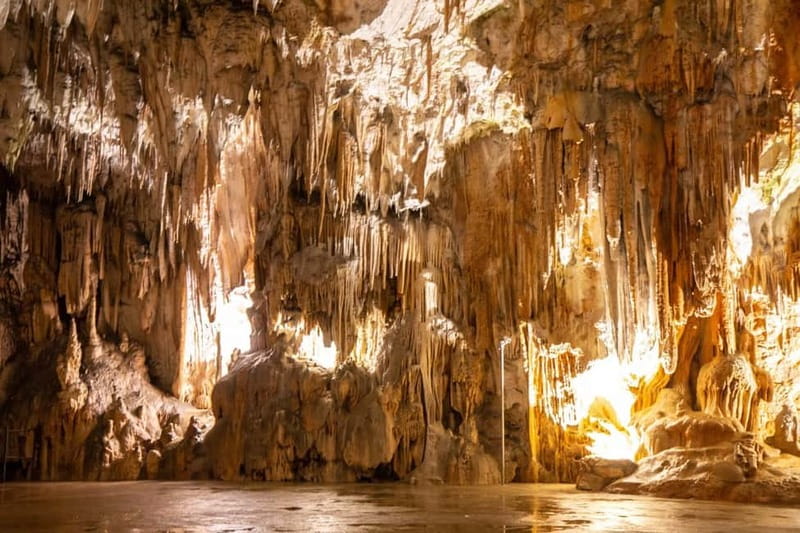Koper/Trieste: Postojna Cave & Predjama Castle Tour & Ticket - Riding the electric train into Postojna Cave