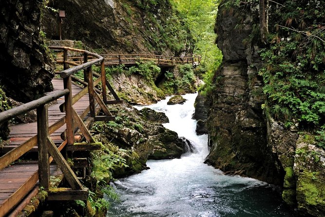 Lake Bled and Ljubljana Group Shore Experience from Koper - Group size, weather, and comfort