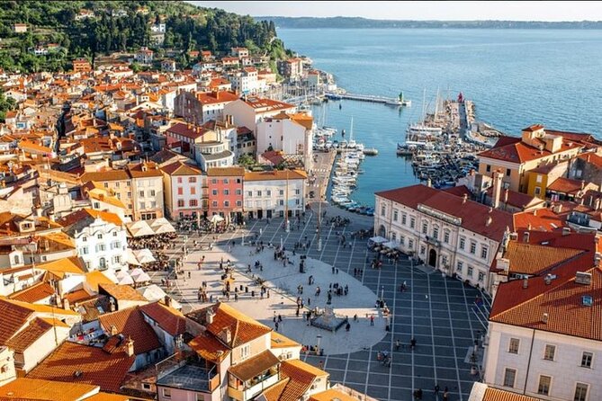 Lipica stud farm and Piran Tour from Ljubljana - Why this makes a good day out from Ljubljana