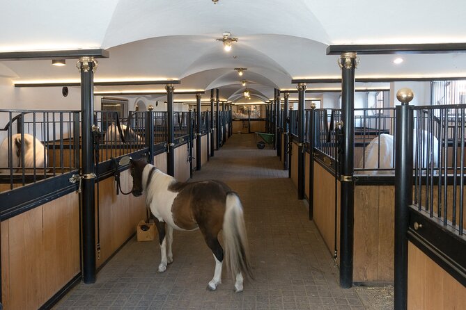 Lipica Stud Farm and Skocjan Caves from Koper - The regional park after the underground walk