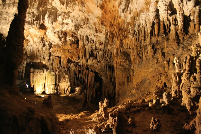 Lipica Stud Farm and Skocjan Caves from Koper - Is $134.68 a fair price?