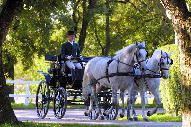 Lipica Stud Farm- Private Experience from Koper - Key points to know before you book