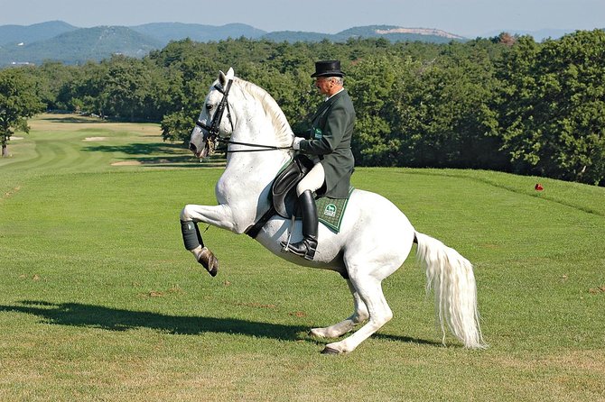 Lipica Stud Farm- Private Experience from Koper - Timing, weather, and the practical details