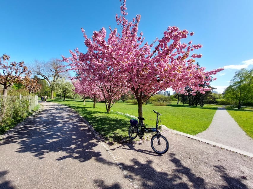 Ljubljana by E-Bike: Guided City Highlights Tour - Who will enjoy this ride most?