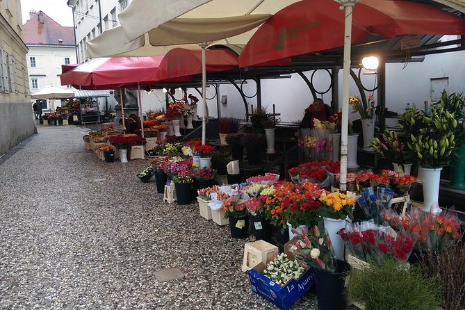 Ljubljana City Tour Including Ljubljana Castle - Walking Ljubljana’s old town for 50 minutes
