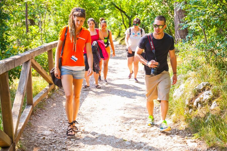Ljubljana: Karst & Coast Full-Day Trip - What the €122 price really covers