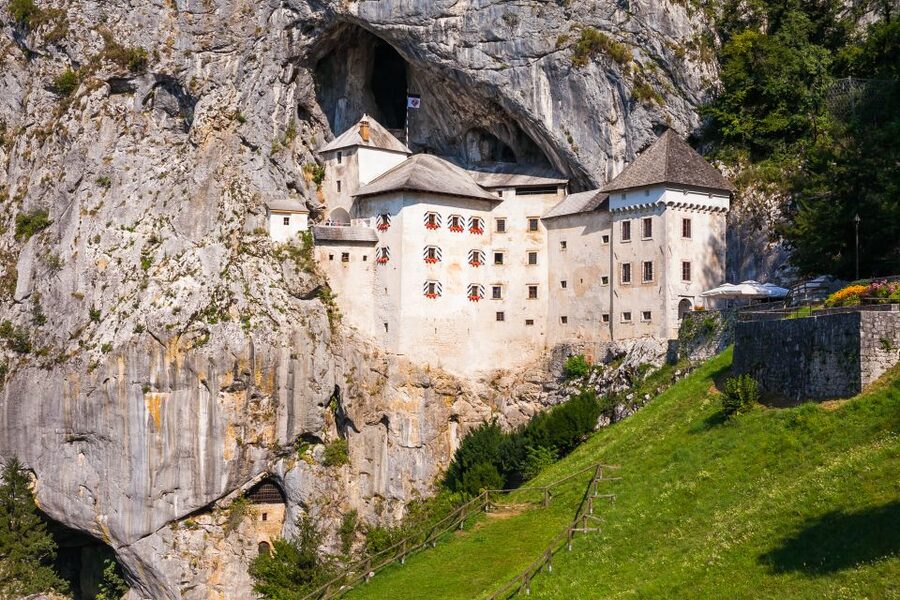 Ljubljana: Karst & Coast Full-Day Trip - The guide and the small minibus