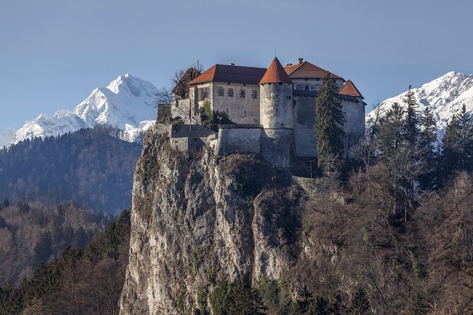 Ljubljana: Lake Bled Experience small group half-day tour - A short walk, swans, and Bled cream cake