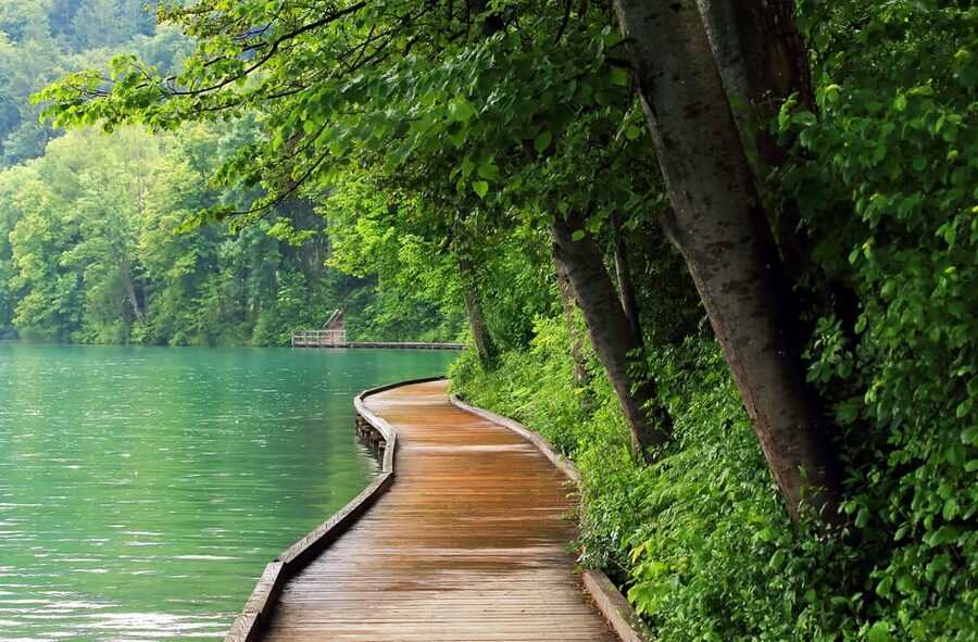 Ljubljana: Lake Bled, Postojna Cave, and Predjama Day Tour - Bled Castle and the best views