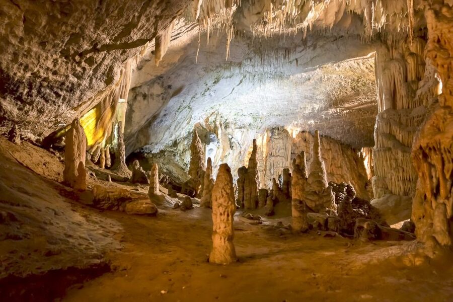 Ljubljana: Lake Bled & Postojna Cave Day Trip - Crossing Lake Bled by traditional pletna