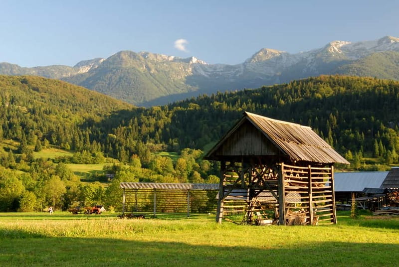 Ljubljana: Lake Bled & Triglav National Park Full-Day Trip - Radovna Valley and Triglav National Park