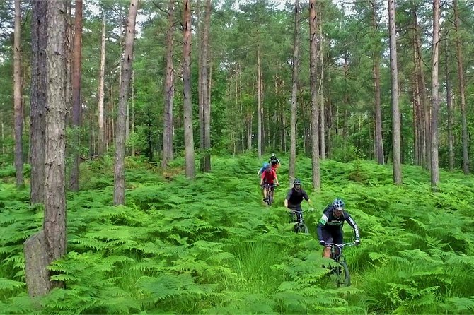 Ljubljana MTB Capital tour (e-bike enduro/all mountain) - Who will enjoy this ride most