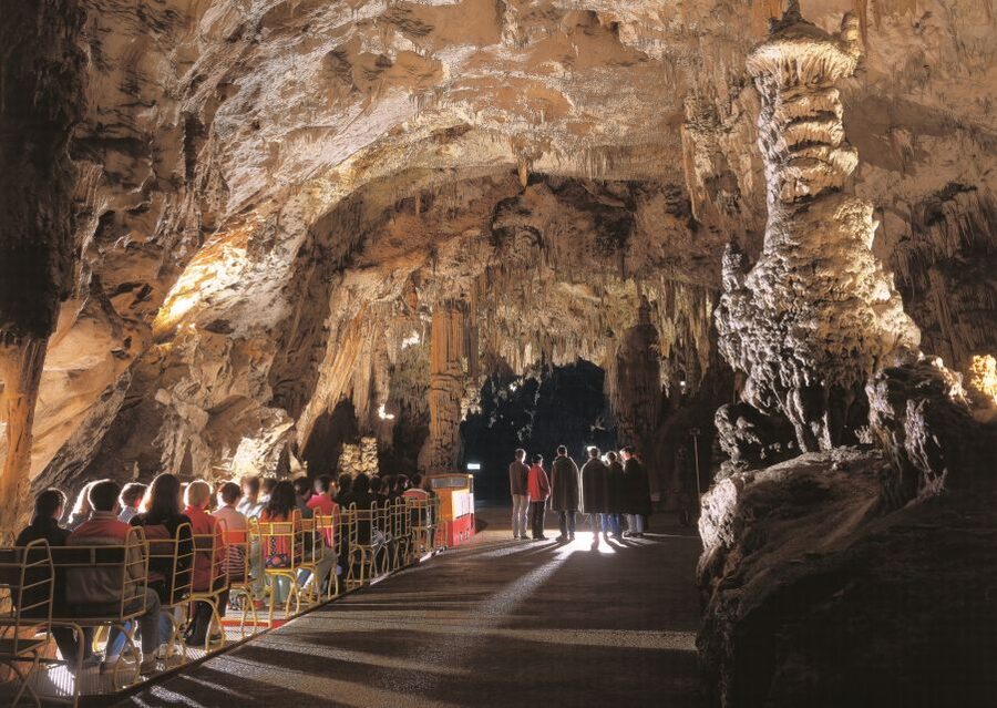 Ljubljana: Postojna Cave & Predjama Castle Tickets and Tour - What the $115 price really covers