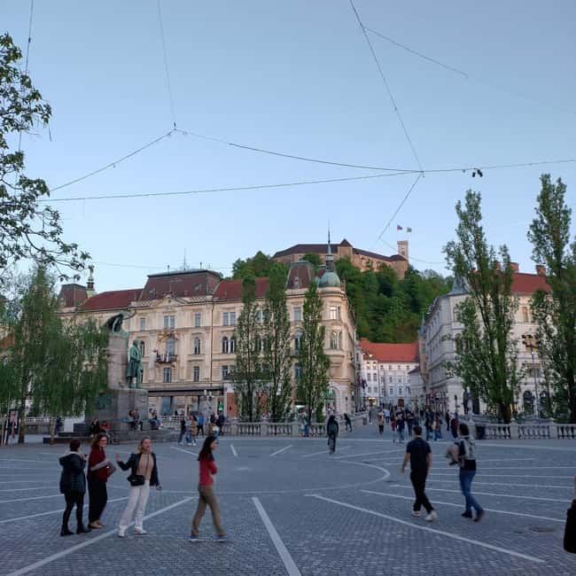 Ljubljana: Private Guided City Tour - Central Market and the city’s everyday rhythm
