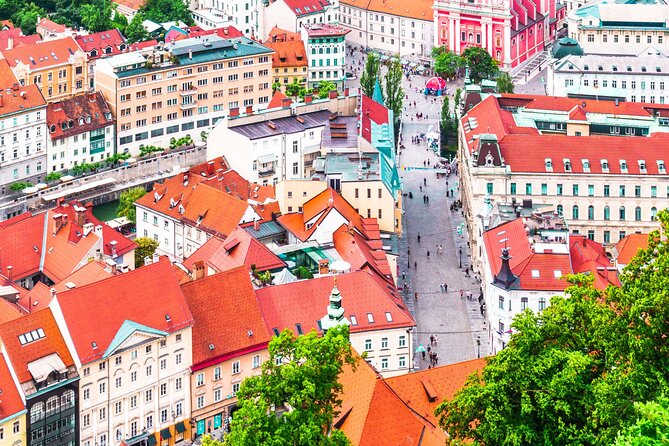 Ljubljana Scavenger Hunt and Highlights Self Guided Audio Tour - Town Hall and St. Nicholas Cathedral