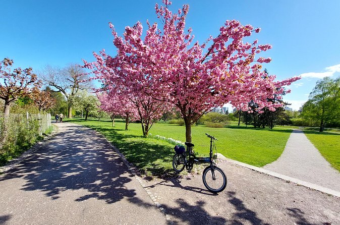 Ljubljana Sightseeing Tour by Electric Bikes - Is $90.70 a good value?