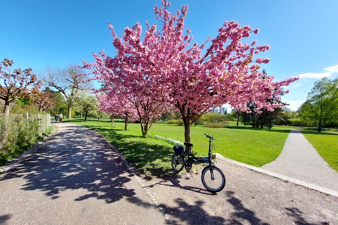 Ljubljana Sightseeing Tour by Electric Bikes - Timing, group size, and practical planning