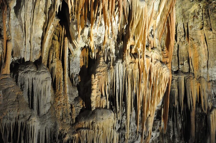 Ljubljana: UNESCO-Listed Škocjan Caves and Piran Day Trip - Price and what you really receive