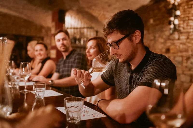 Ljubljana: Wine Tasting Experience with Appetizers - How to get the most from the tasting