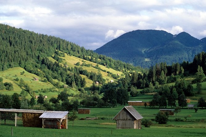 Magic of Alps, Triglav NP with Lake Bohinj & Waterfall Savica, HD Trip from Ljub - Key points to know before booking