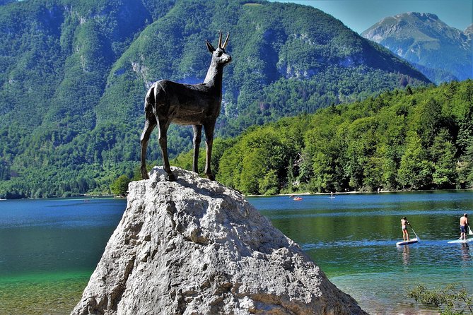 Magic of Alps, Triglav NP with Lake Bohinj & Waterfall Savica, HD Trip from Ljub - Who will enjoy this Alpine half-day?
