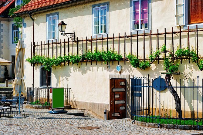 Maribor and Ptuj with entrance to Ptuj castle From Ljubljana - The World’s Oldest Grapevine and the €10 tasting